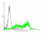 HFE Antibody in Flow Cytometry (Flow)