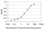 HIC1 Antibody in ELISA (ELISA)