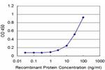 HIC1 Antibody in ELISA (ELISA)