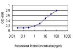 HMOX1 Antibody in ELISA (ELISA)