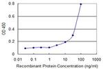 HMOX2 Antibody in ELISA (ELISA)