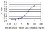 HSPA6 Antibody in ELISA (ELISA)