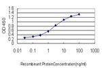 LDLR Antibody in ELISA (ELISA)