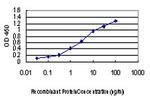 MAP3K4 Antibody in ELISA (ELISA)