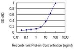 MST1 Antibody in ELISA (ELISA)