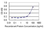 NHLH1 Antibody in ELISA (ELISA)