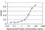 NKX3-1 Antibody in ELISA (ELISA)