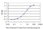 NPY1R Antibody in ELISA (ELISA)