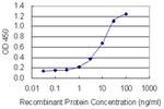 OVGP1 Antibody in ELISA (ELISA)