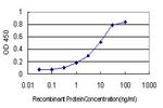 PLAU Antibody in ELISA (ELISA)