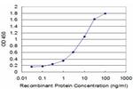 POU3F2 Antibody in ELISA (ELISA)