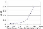 PTCH Antibody in ELISA (ELISA)