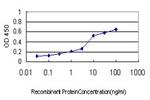 PTCH Antibody in ELISA (ELISA)