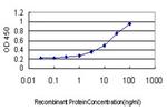 RRAS Antibody in ELISA (ELISA)