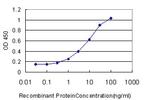 SOX4 Antibody in ELISA (ELISA)