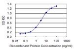 SOX12 Antibody in ELISA (ELISA)