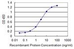 SOX12 Antibody in ELISA (ELISA)