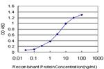 TAF11 Antibody in ELISA (ELISA)