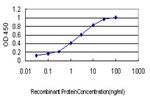 TYMS Antibody in ELISA (ELISA)