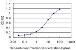 GCM1 Antibody in ELISA (ELISA)