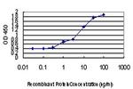 STC2 Antibody in ELISA (ELISA)