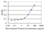 TNFSF13 Antibody in ELISA (ELISA)