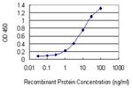 NRXN1 Antibody in ELISA (ELISA)