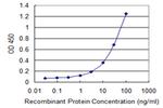 GAL3ST1 Antibody in ELISA (ELISA)