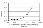 USP15 Antibody in ELISA (ELISA)