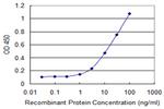 HDAC6 Antibody in ELISA (ELISA)