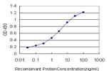 SGK2 Antibody in ELISA (ELISA)