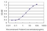 AKAP9 Antibody in ELISA (ELISA)