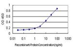 ODZ1 Antibody in ELISA (ELISA)