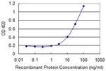 COLEC10 Antibody in ELISA (ELISA)