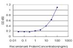 TRAF3IP2 Antibody in ELISA (ELISA)