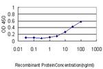 NUDT21 Antibody in ELISA (ELISA)