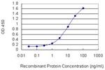 HRH3 Antibody in ELISA (ELISA)