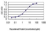 PUM2 Antibody in ELISA (ELISA)