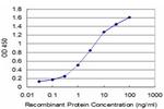 HEY1 Antibody in ELISA (ELISA)