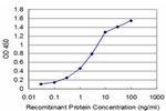 HEY1 Antibody in ELISA (ELISA)