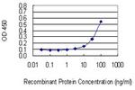 POFUT1 Antibody in ELISA (ELISA)