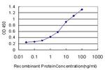 PPIL2 Antibody in ELISA (ELISA)