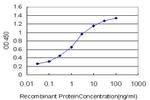 HSPB8 Antibody in ELISA (ELISA)