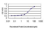 GREM1 Antibody in ELISA (ELISA)