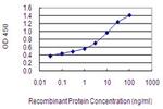 IMPG2 Antibody in ELISA (ELISA)