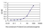 TLR7 Antibody in ELISA (ELISA)