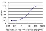 LW-1 Antibody in ELISA (ELISA)