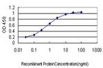 GPR84 Antibody in ELISA (ELISA)