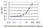 TRIM62 Antibody in ELISA (ELISA)