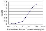 DPYSL5 Antibody in ELISA (ELISA)